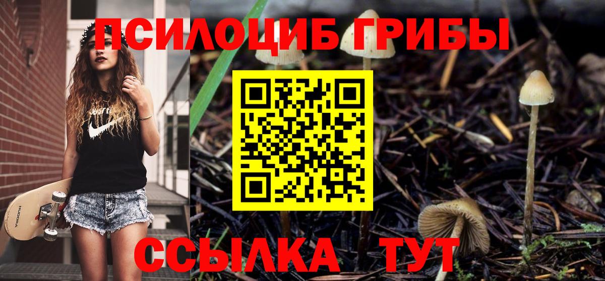 Галлюциногенные грибы прущие грибы Тверь