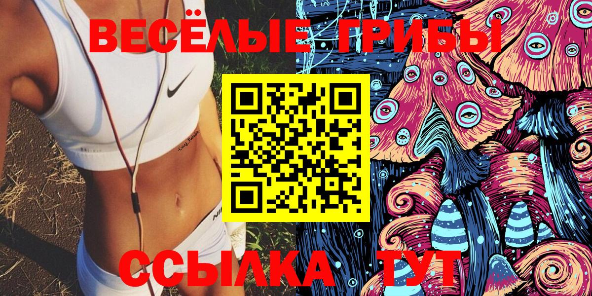 Тверь  Псилоцибиновые грибы мицелий  Вход с VPN 